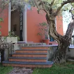 Degli Ulivi *
