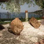 Degli Ulivi