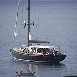 Degli Ulivi *