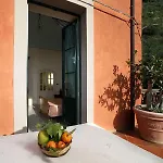 Degli Ulivi