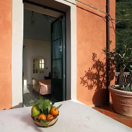 Degli Ulivi