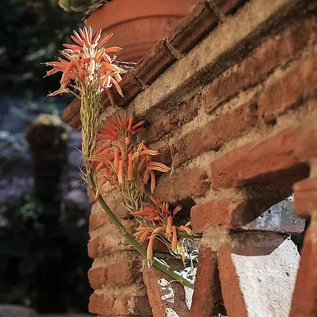 Degli Ulivi Апартаменты Таормина