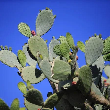 Degli Ulivi Апартаменты Таормина