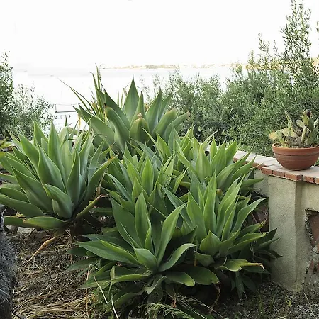 Degli Ulivi Таормина